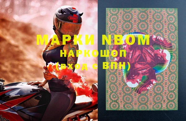 ГАЛЛЮЦИНОГЕННЫЕ ГРИБЫ Бородино
