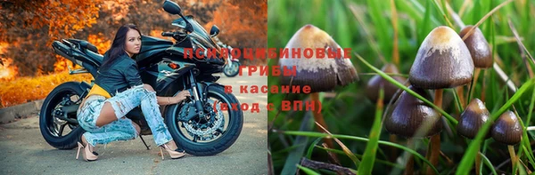 а пвп мука Вязники