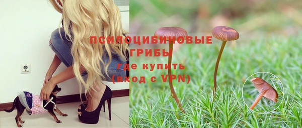 трава Вяземский